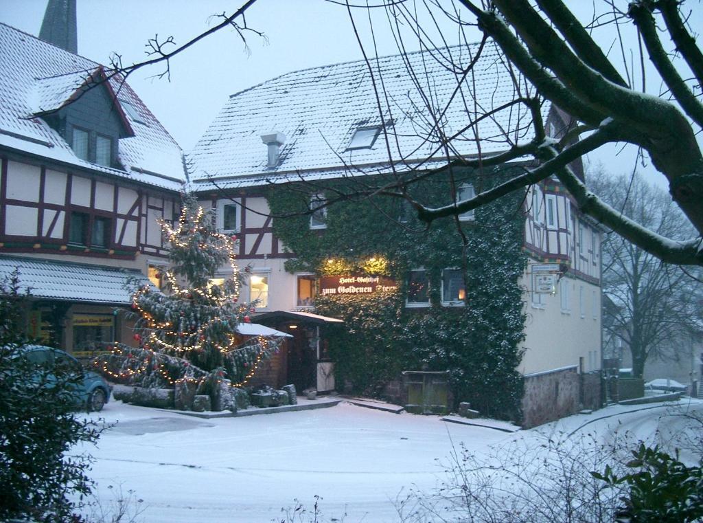 索恩堡 Fritz'Es Goldener Stern酒店 外观 照片